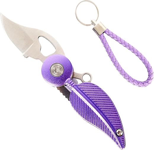 Pocket Knife Womens With Chain,Small Pocket Knife,Cool Knives,Cool Gadgets,Edc Knife,Mini Pocket Knife,Cute Key Accessories(Purple)