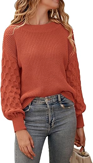 Prettygarden Womens 2024 Winter Long Sleeve Crewneck Loose Chunky Knit Jumper Tops Blouse