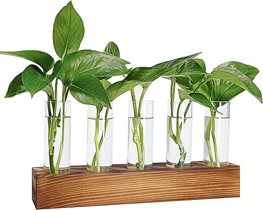 Plant Propagation Station, Plant Terrarium With Wooden Stand For Hydroponics Plants Office Decor Unique Gardening Gifts For Women Plant Lovers - 5 Glass Test Tube Vases