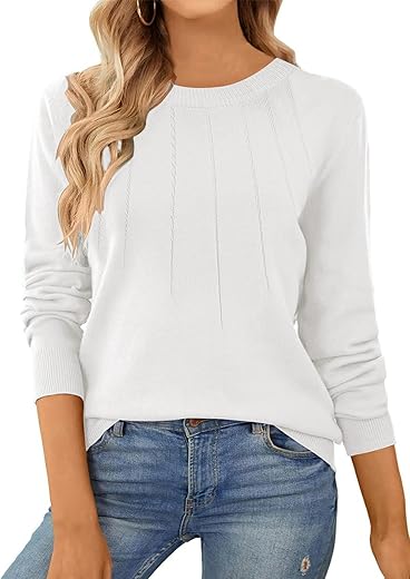 Shewin Womens Sweaters 2024 Casual Crewneck Long Sleeve Lightweight Knit Pullover Sweater Tops Fall Clothes