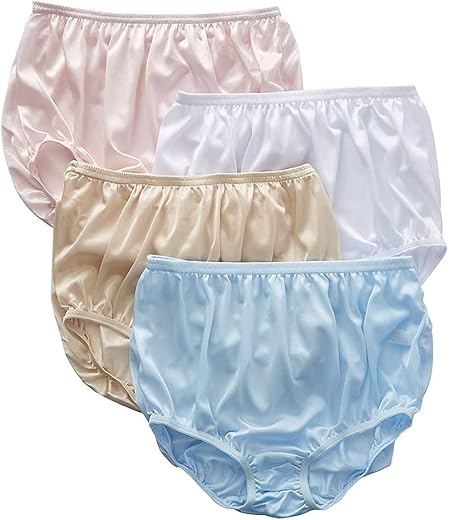 Teri Women'S 331 Full Cut Nylon Brief Panty - 4 Pack